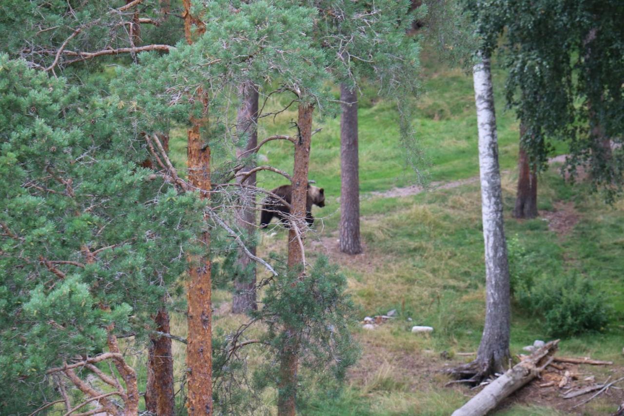 Апартаменти Bograngen Lgh D Brograngen Екстер'єр фото
